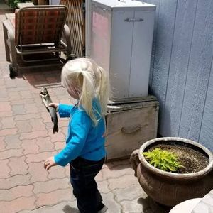 Meet your Posher, Andy